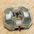 Cockroach Trap Box – Reusable Pest Killer for Home