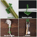 6156A 30pcs wall Plant Climbing Clip widely used for holding plants and poultry purposes and all. DeoDap