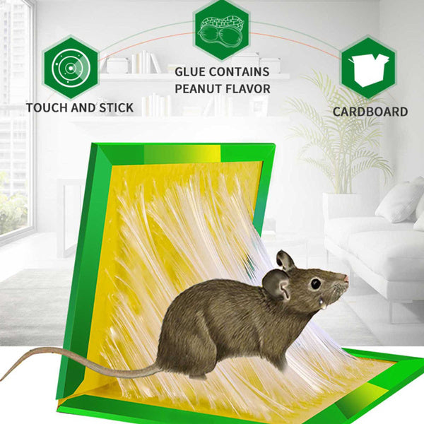 Green Mice Glue Traps With Premium Glue (1 Piece) — Deodap