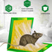 204 Green Mice Glue Traps (1pc) DeoDap