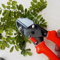 Garden Scissors – 18cm Sharp Blade, Comfortable Handle | Indo Glow