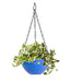 3851 Flower Pot Plant with Hanging Chain for Houseplants Garden Balcony Decoration DeoDap