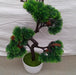 4937 Artificial Potted Plant with Round Pot DeoDap